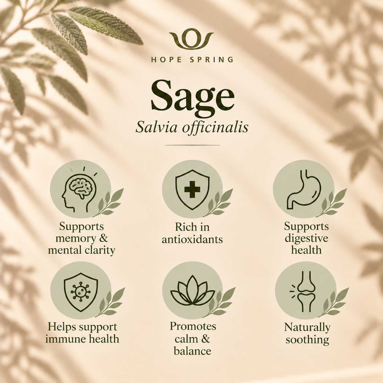 Sage Botanical Wellness Infographic.png