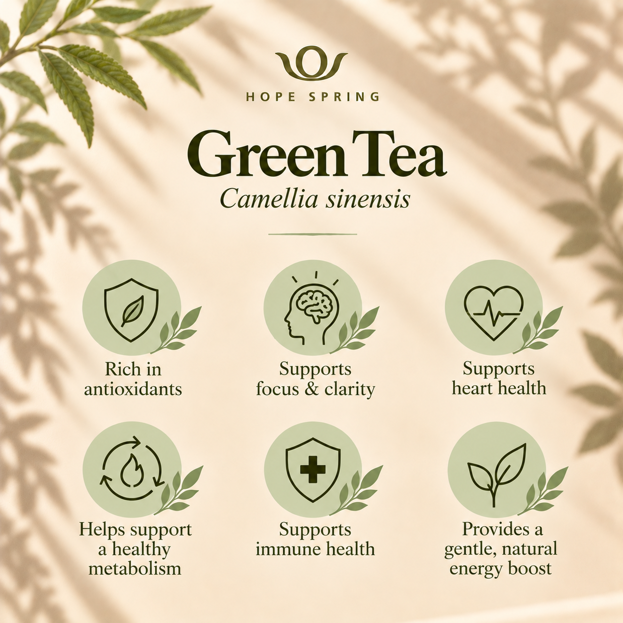 Green Tea Benefits Infographic.png