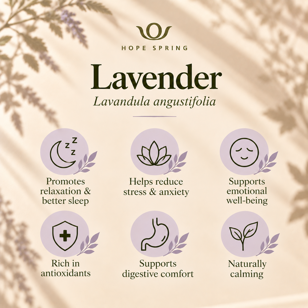 Lavender Wellness Benefits Infographic.png