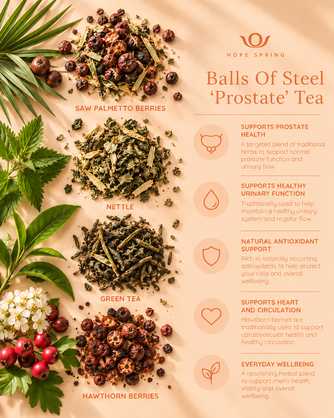 Balls Of Steel  ‘Prostate’ Tea - Key Benefits.png