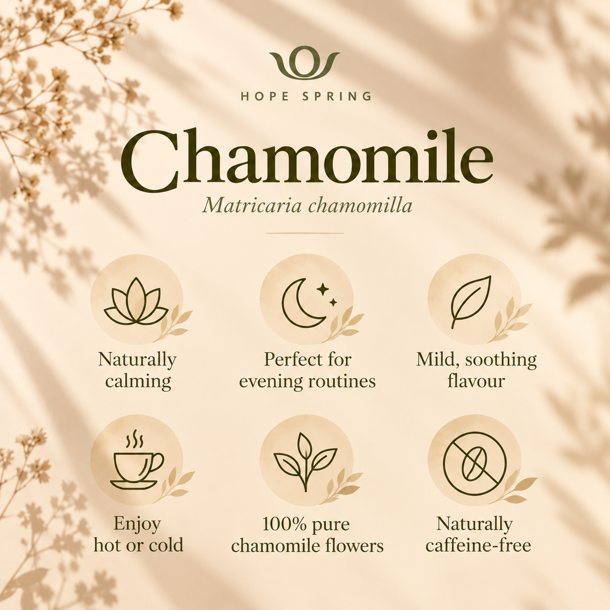 Chamomile Wellness Benefits Infographic.png