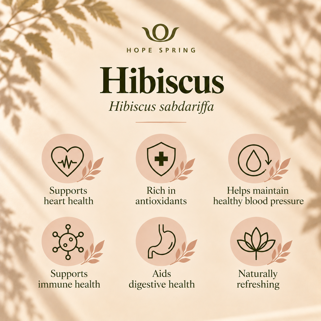 Hibiscus Wellness Benefits Infographic.png