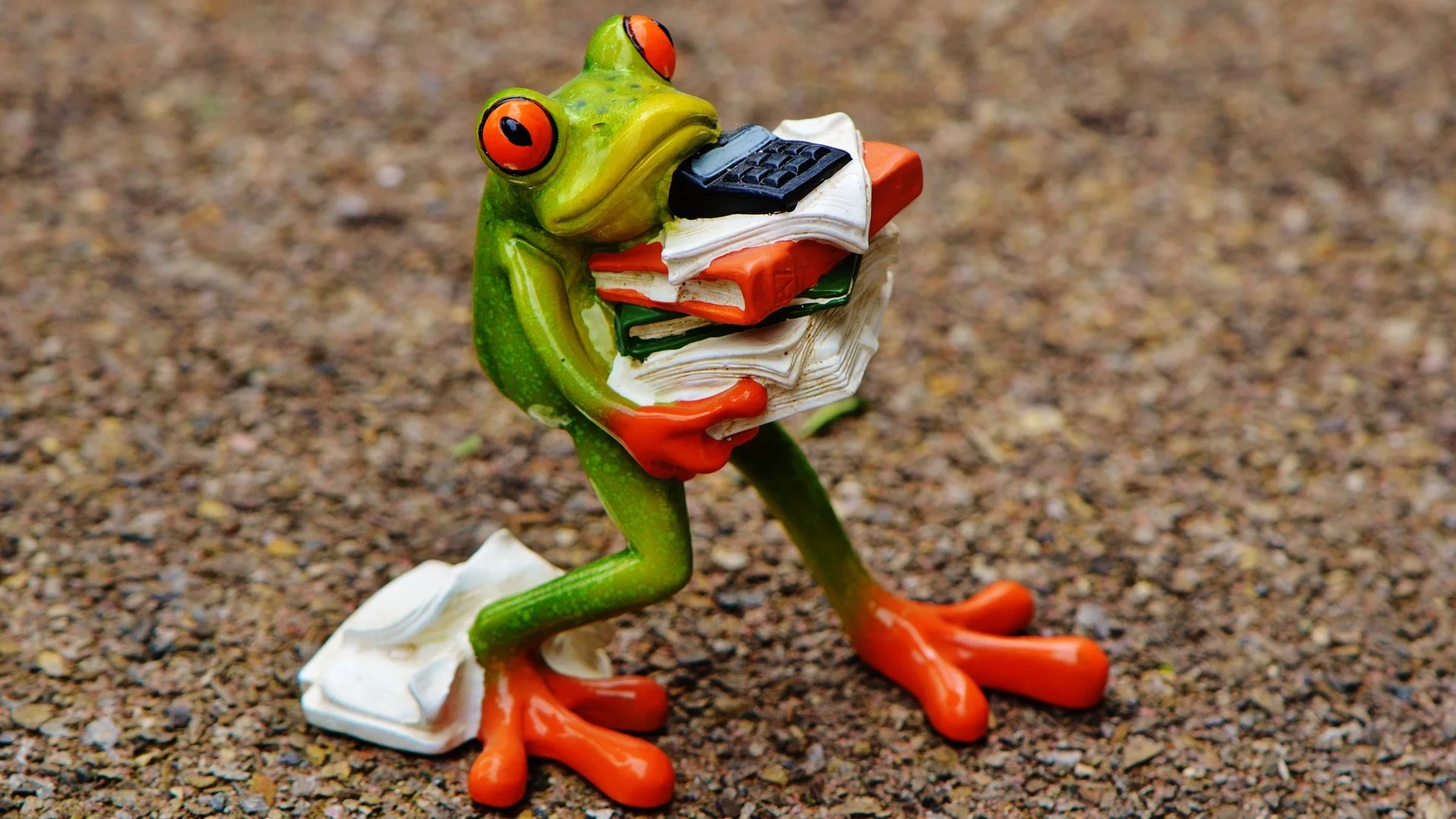 frog-1339892_1920.jpg