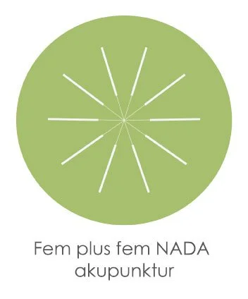 Fem-plus-fem-nada-logo.jpg