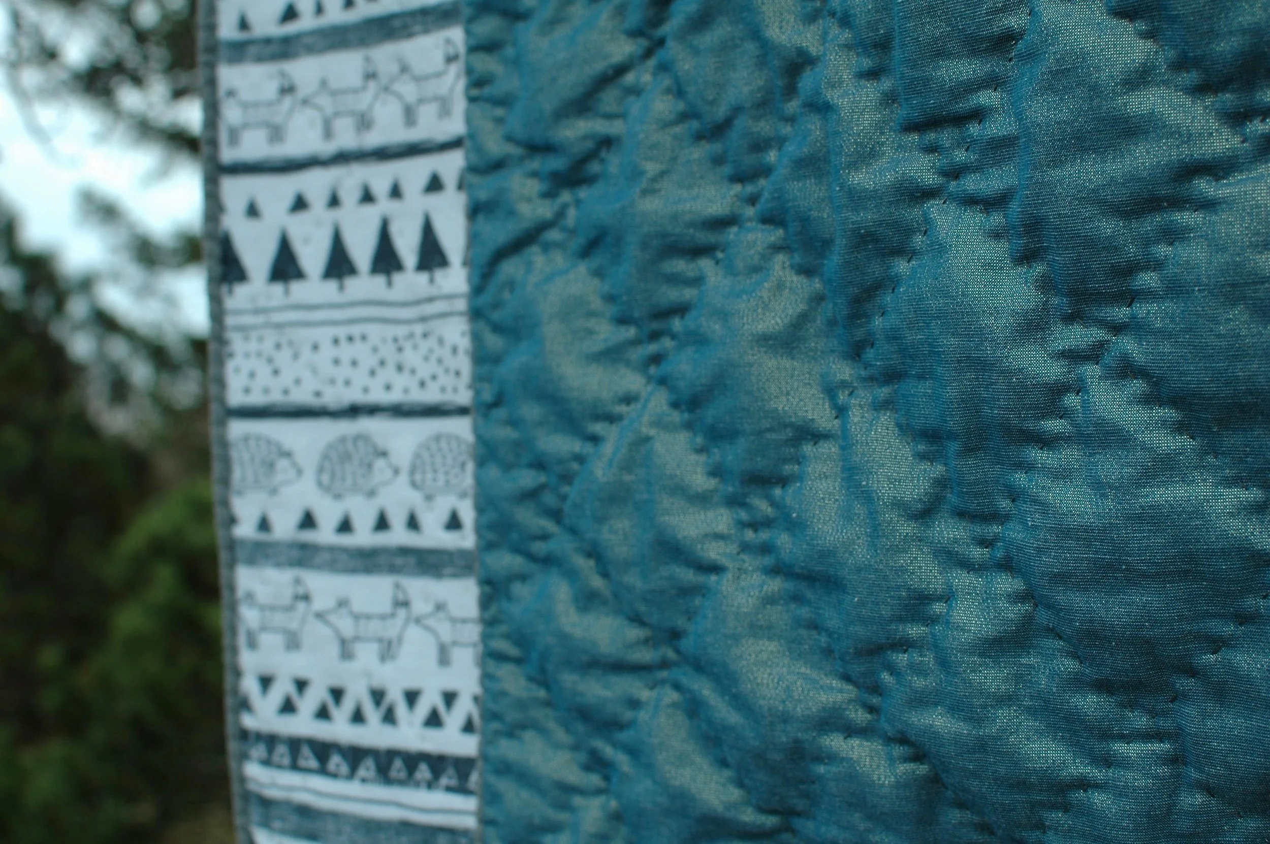 DSC_7212.jpg