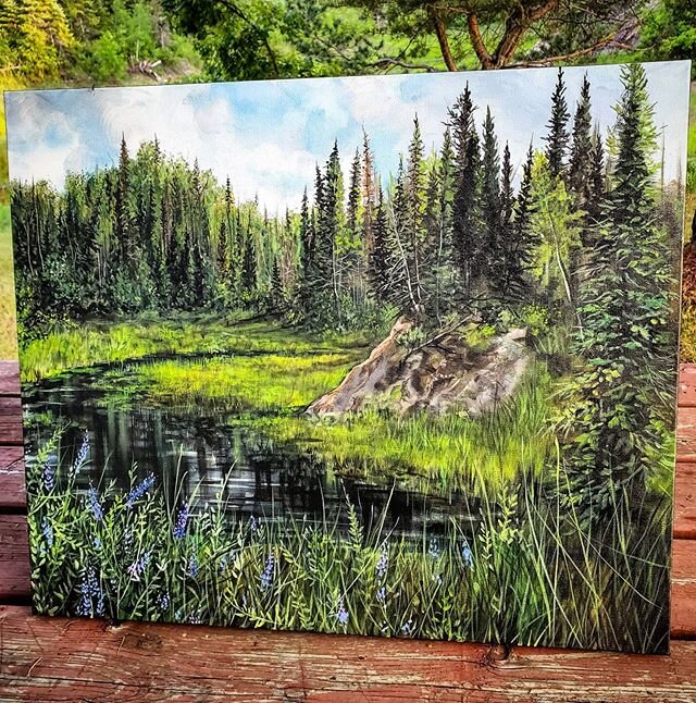 &quot;Late Light looming&quot; (20 x 24) The result of yesterday's nine solid hours at #nutimiklake .
This marathon of a Plein air, plus the wolf that appeared just after sundown was 100% worth the 100 bites to every appendage. 🦟🐺🌲(mosquitoes, not