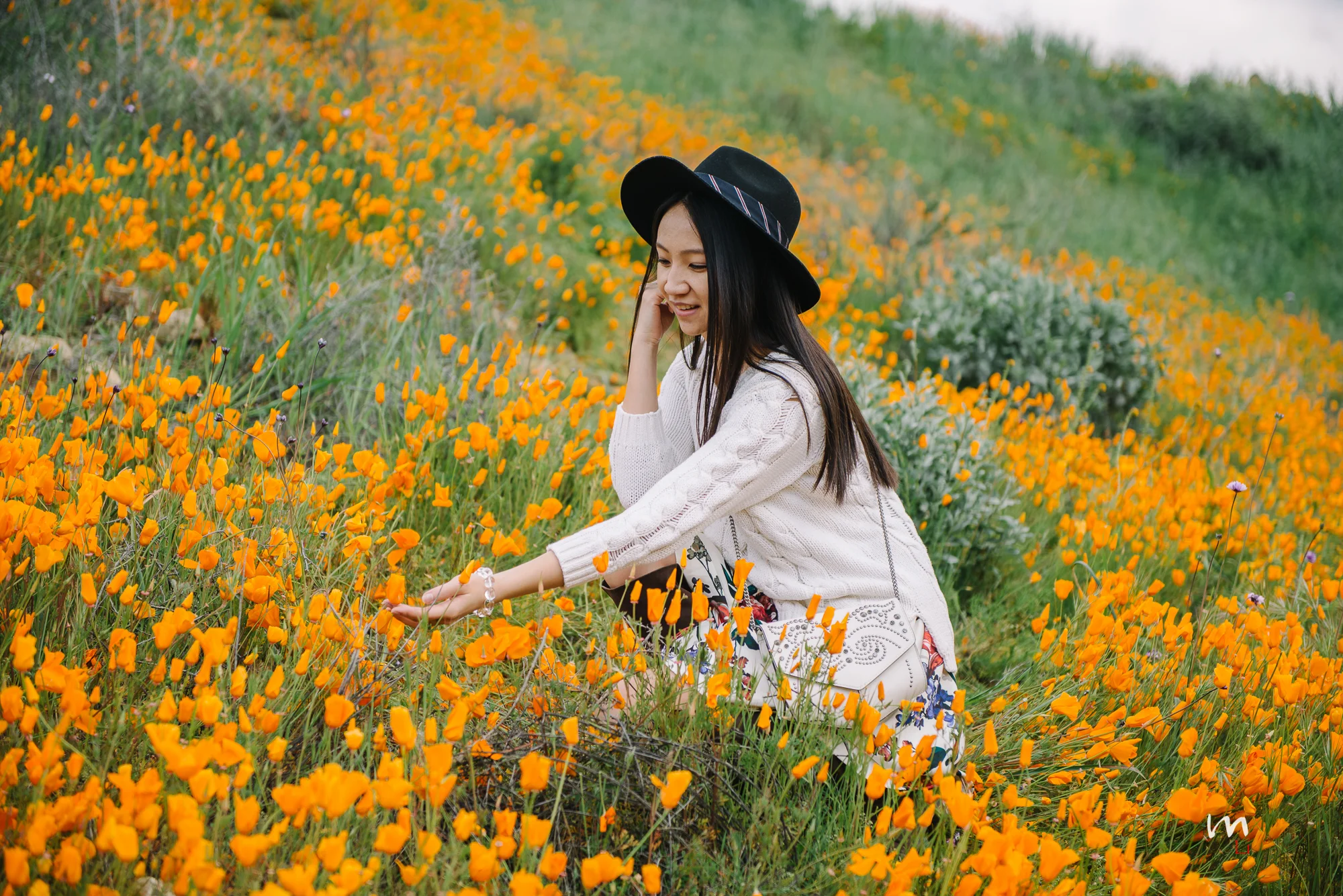 DSC_4851.jpeg