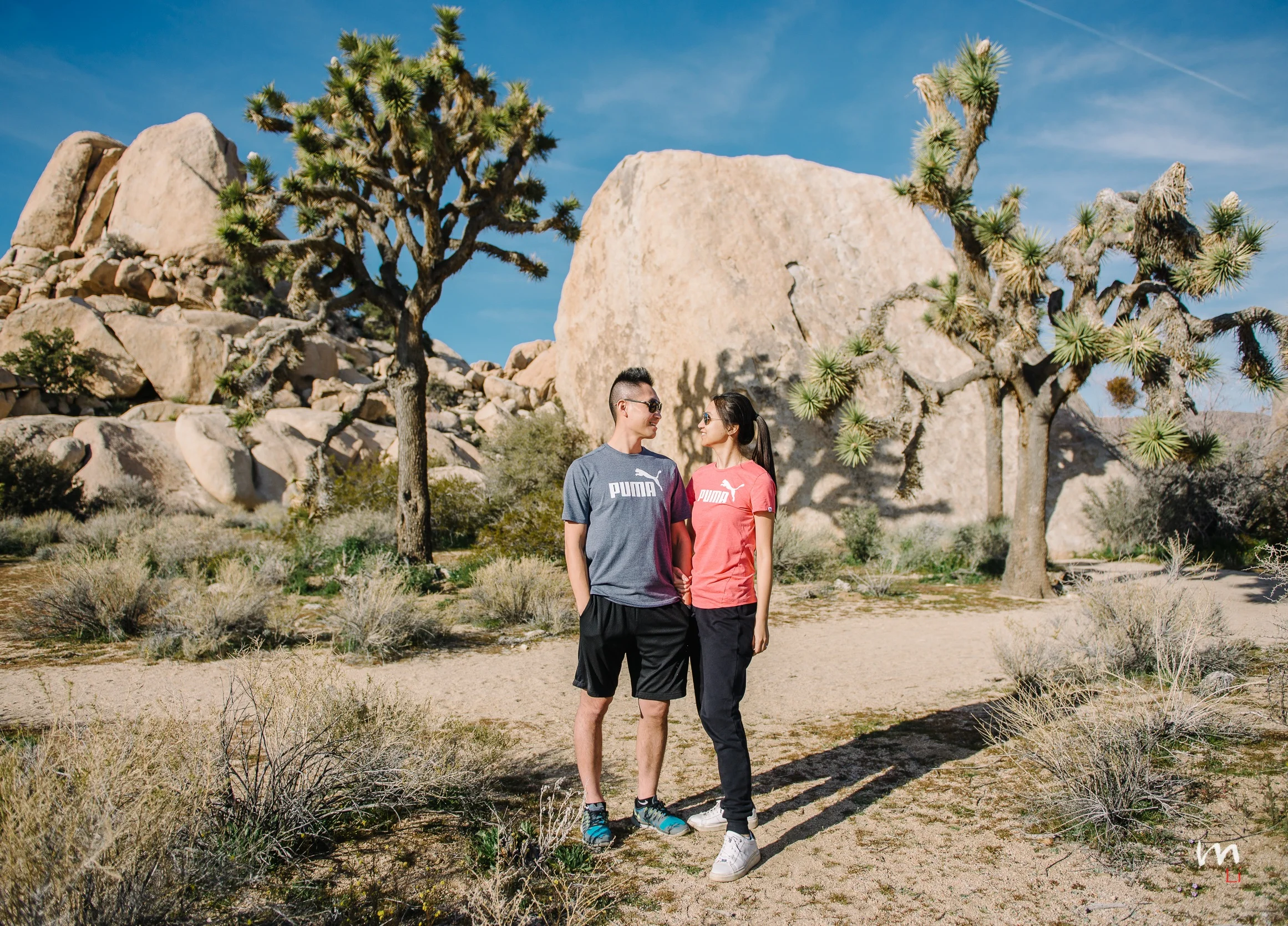 Adventuring Across Joshua Tree National Park