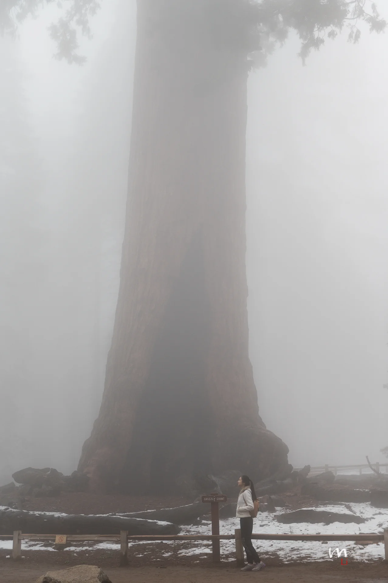 DSC_0347.jpeg