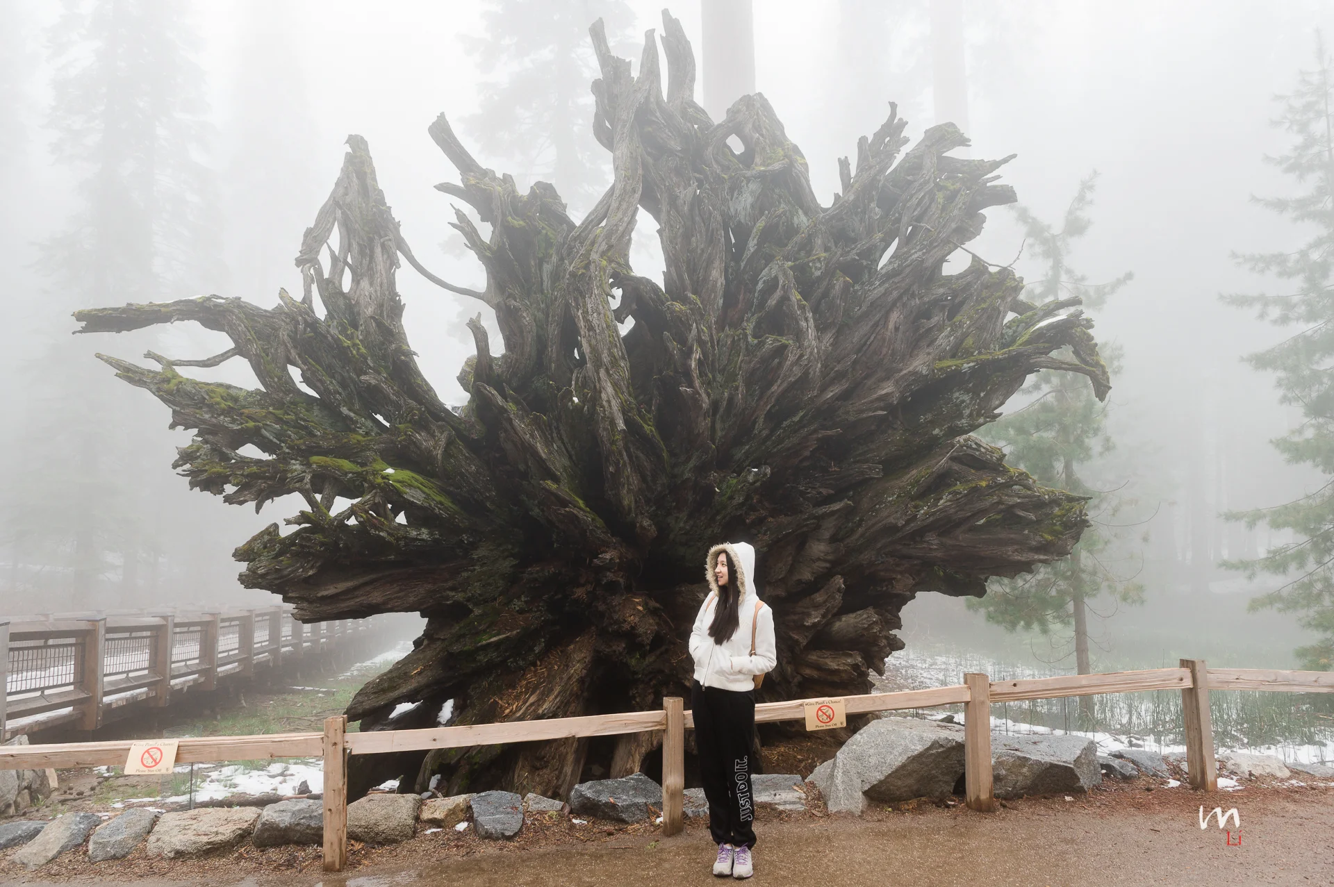 DSC_0306.jpeg