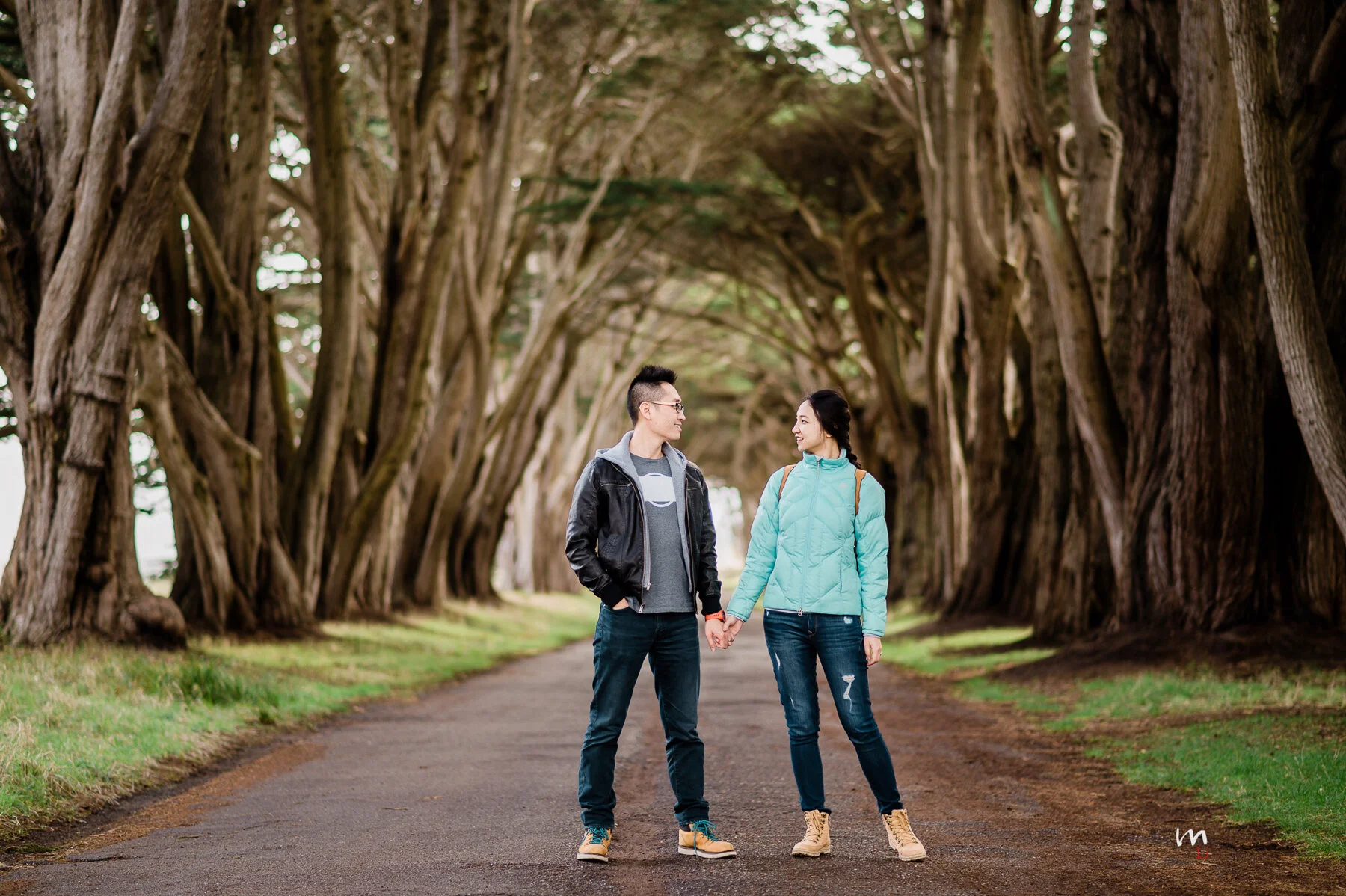 Escape To Point Reyes National Seashore