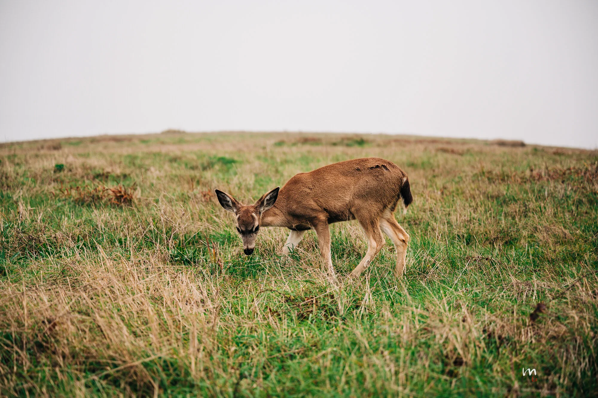 DSC_5764.jpeg