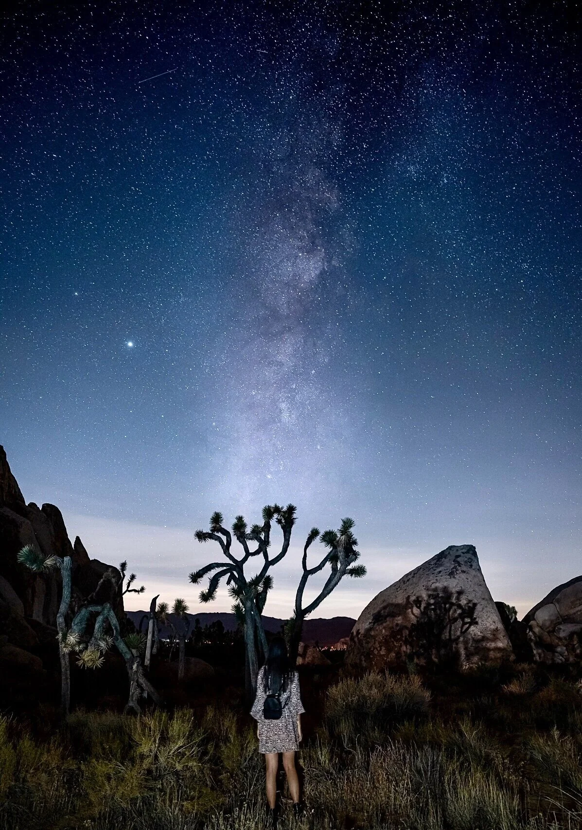 Chasing The Milky Way in Joshua Tree National Park