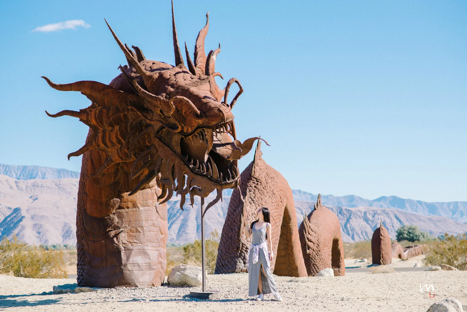 Anza-Borrego Desert Road Trip