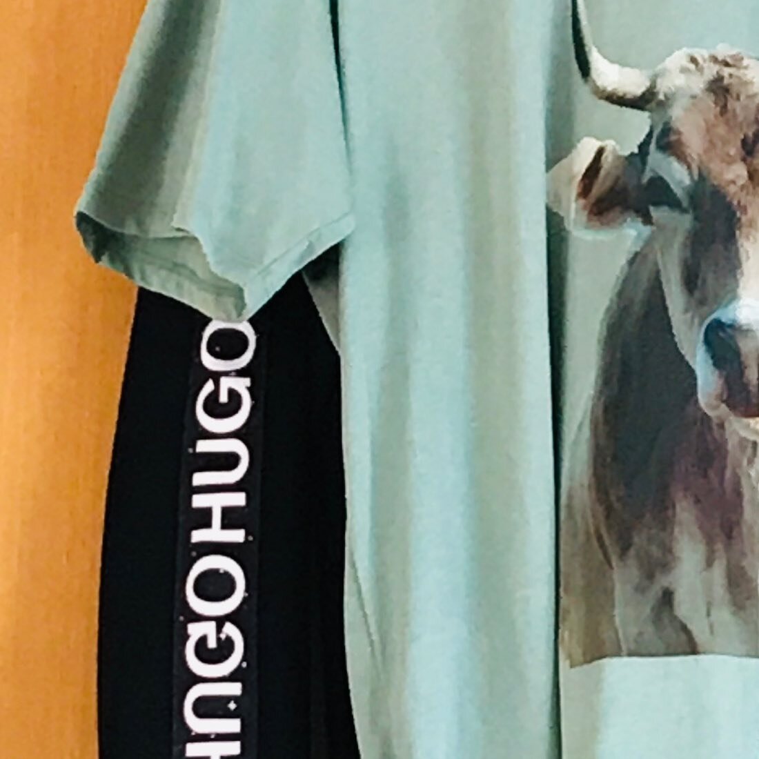 #Limited edition #cowshirt #tshirt #iamhugo &copy;&copy;. @ferrynielsen Love #cows #cowlover #cowportraits😍