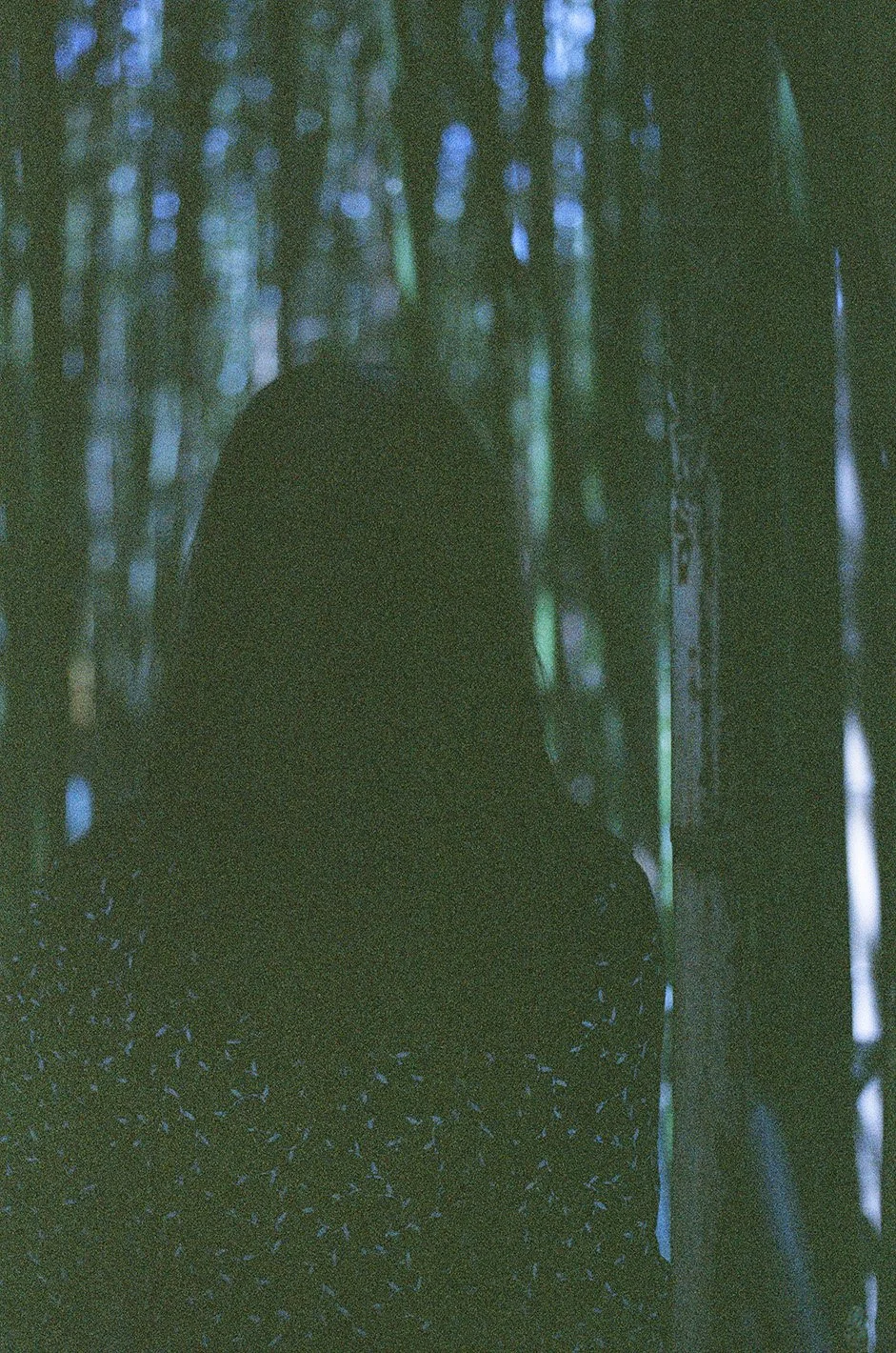 20460017naoko.neg.web..jpg