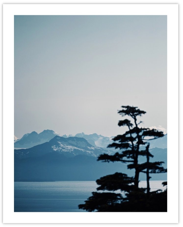 Screenshot+2024-11-19+at+9.00.39+PM.jpg