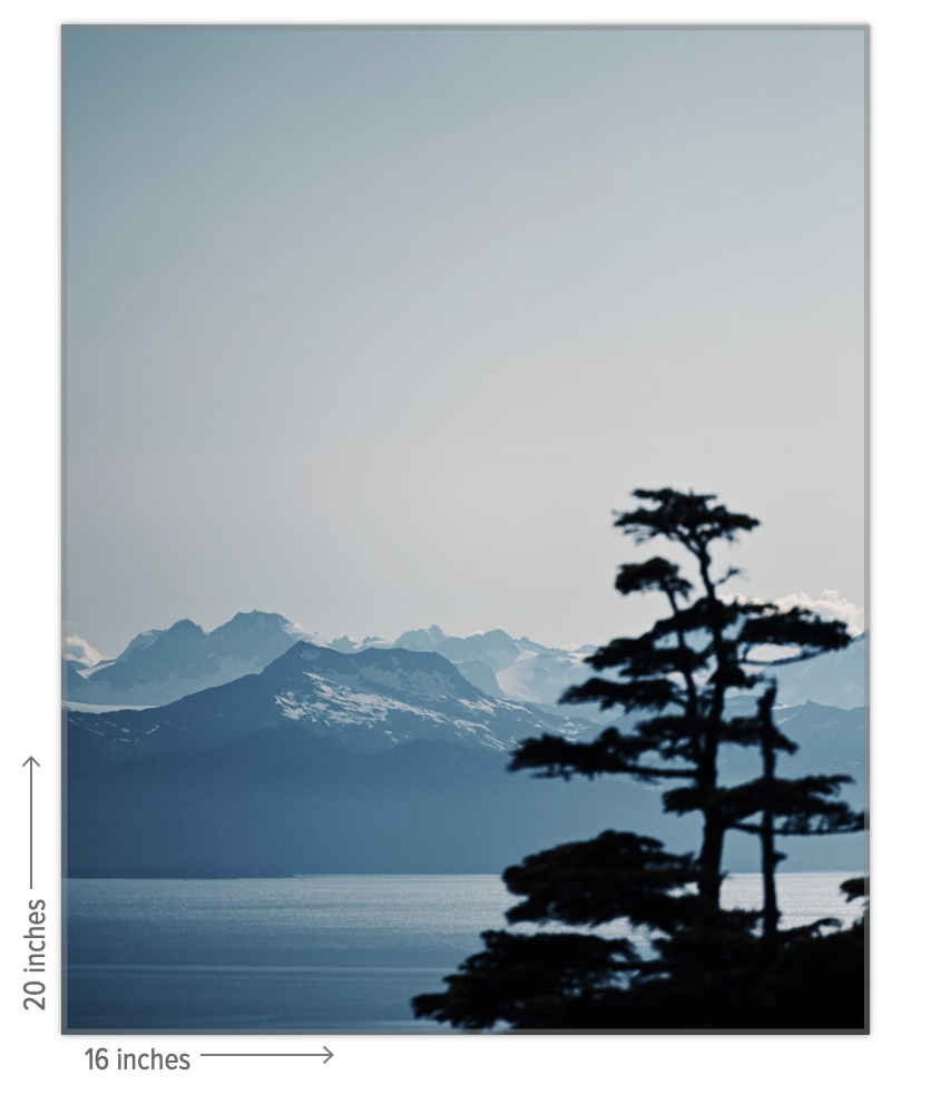 16.x20.png
