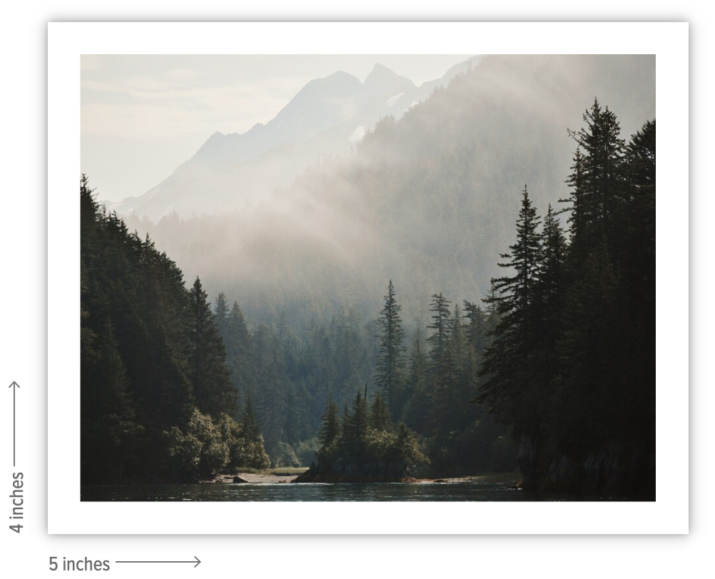 Screenshot 2024-11-27 at 8.47.51 AM.png
