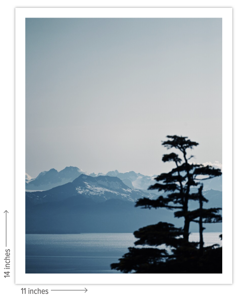 Screenshot 2024-11-19 at 9.01.01 PM.png