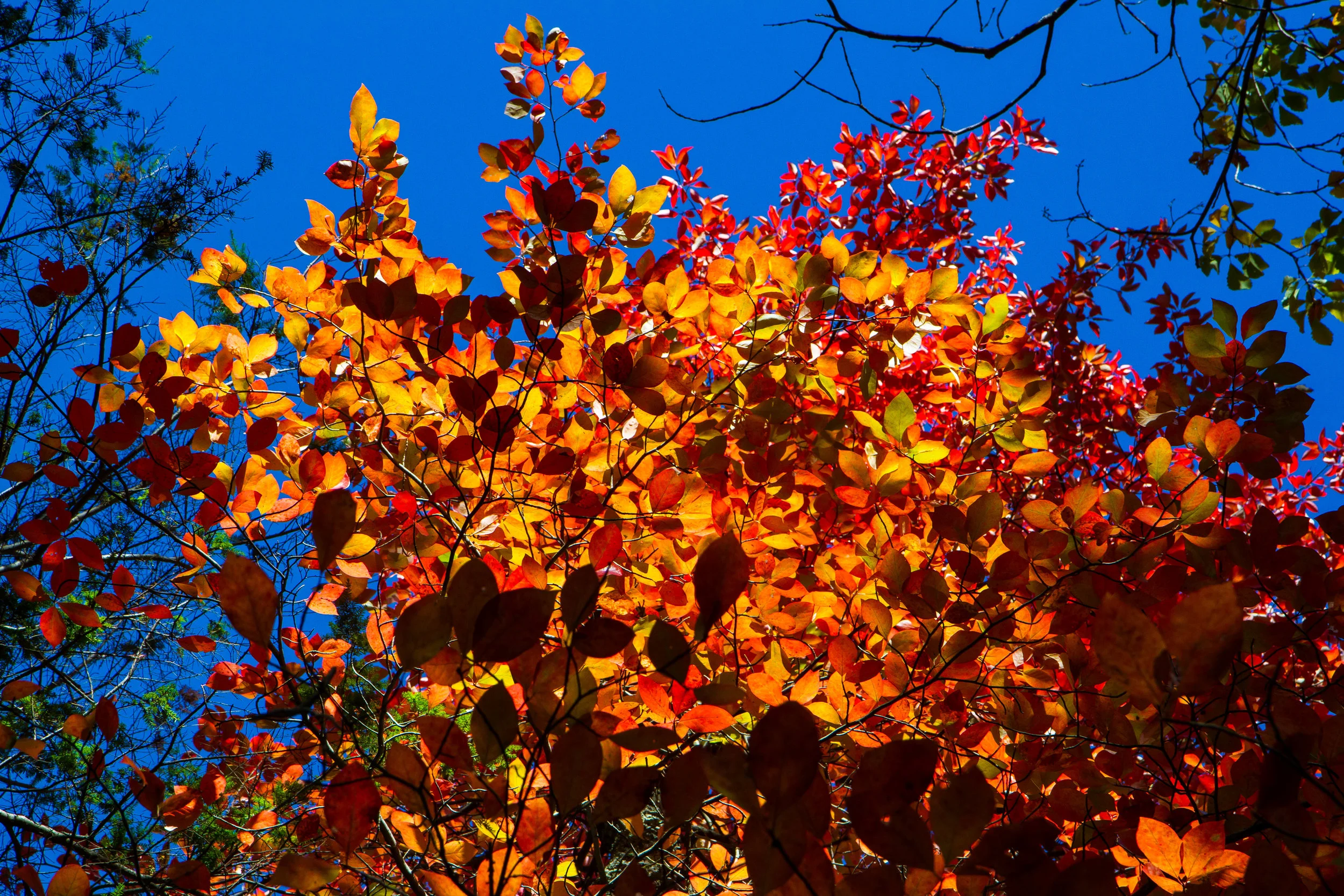 Catskills-5.jpg