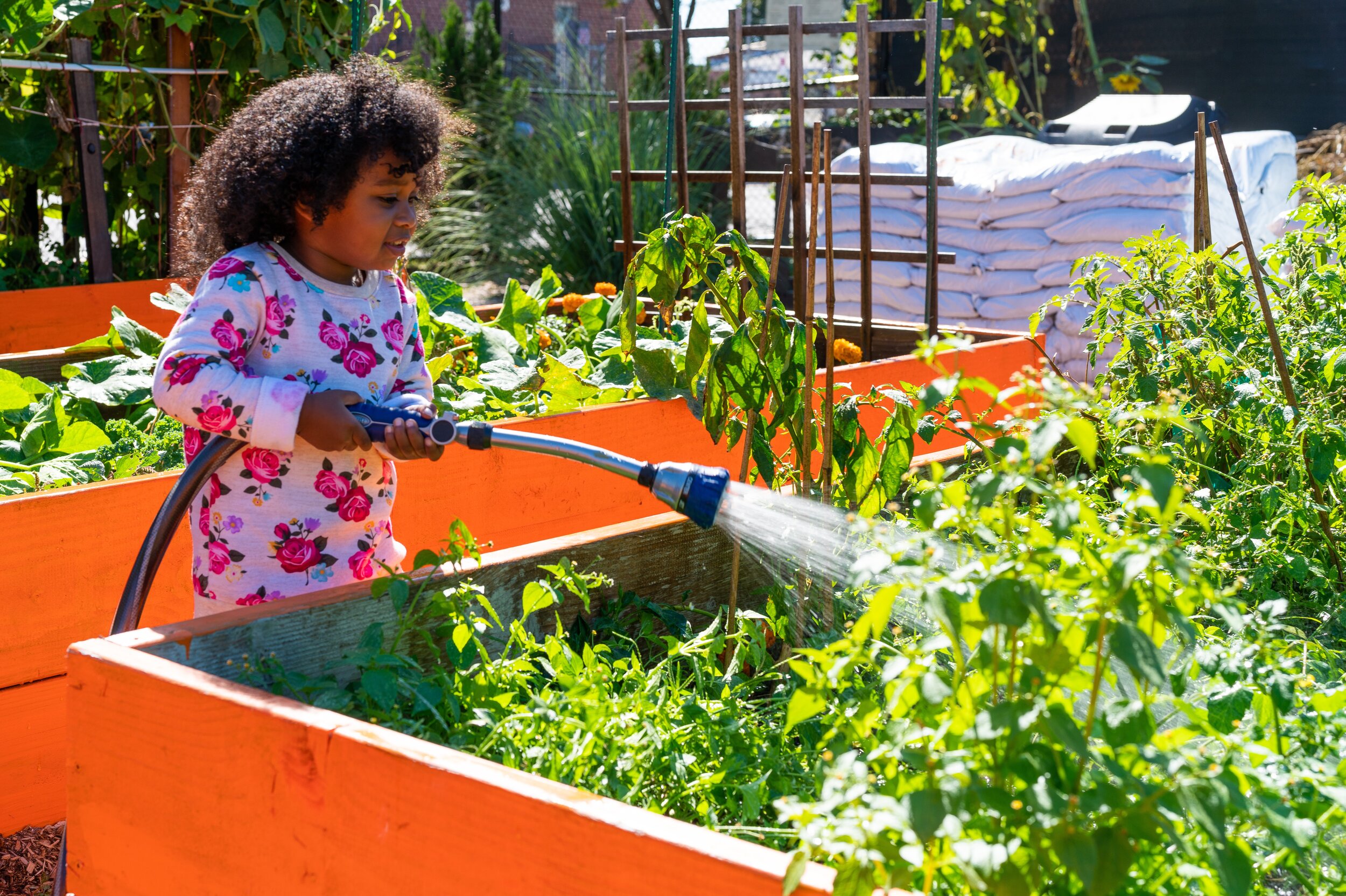   A young gardener helps with watering at the Rockaway Youth Task Force Farm. In their vision for the expanded farm, the Rockaway Youth Task Force plans to have an area just for children to explore gardening.  