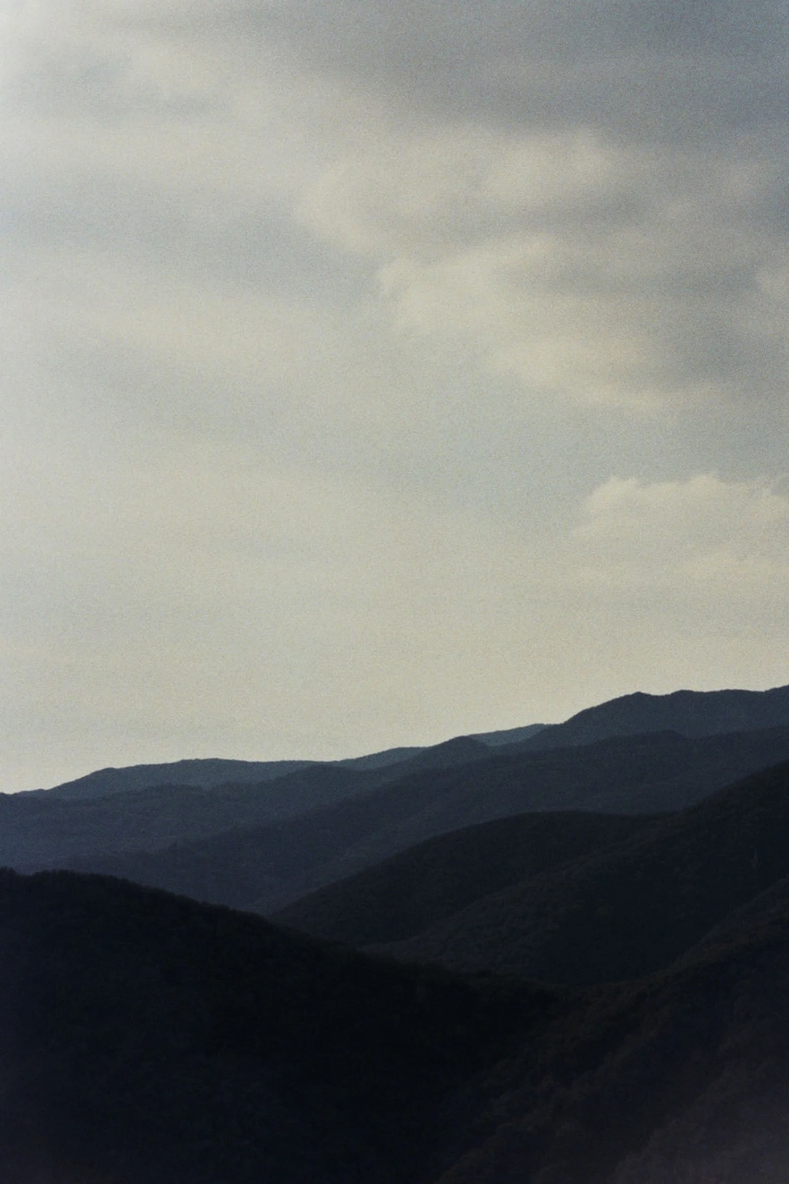 nature7.jpg
