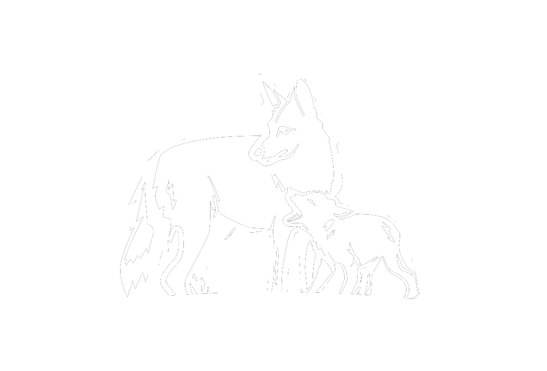 Vermont Coyote Coexistence Coalition