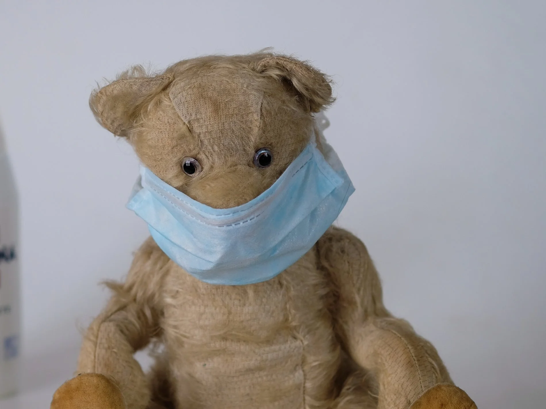 Pet loss during the COVID-19 Pandemic: What to Expect & Ways to maintain closeness with your pet (and vet)