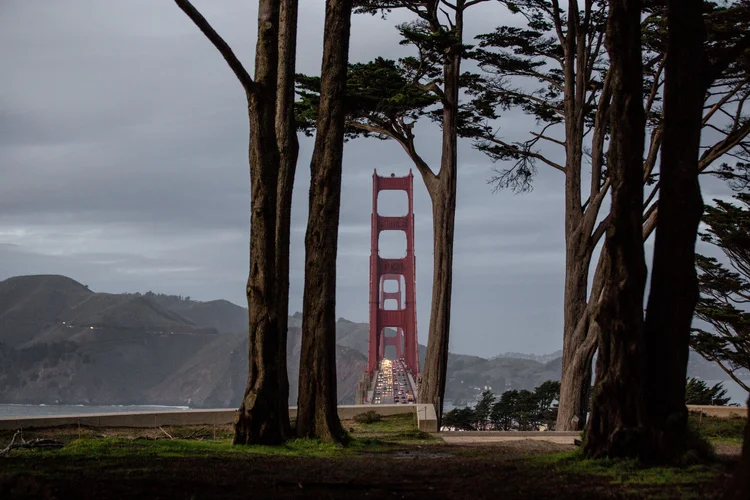 The Golden Gate Bridge seen through the trees