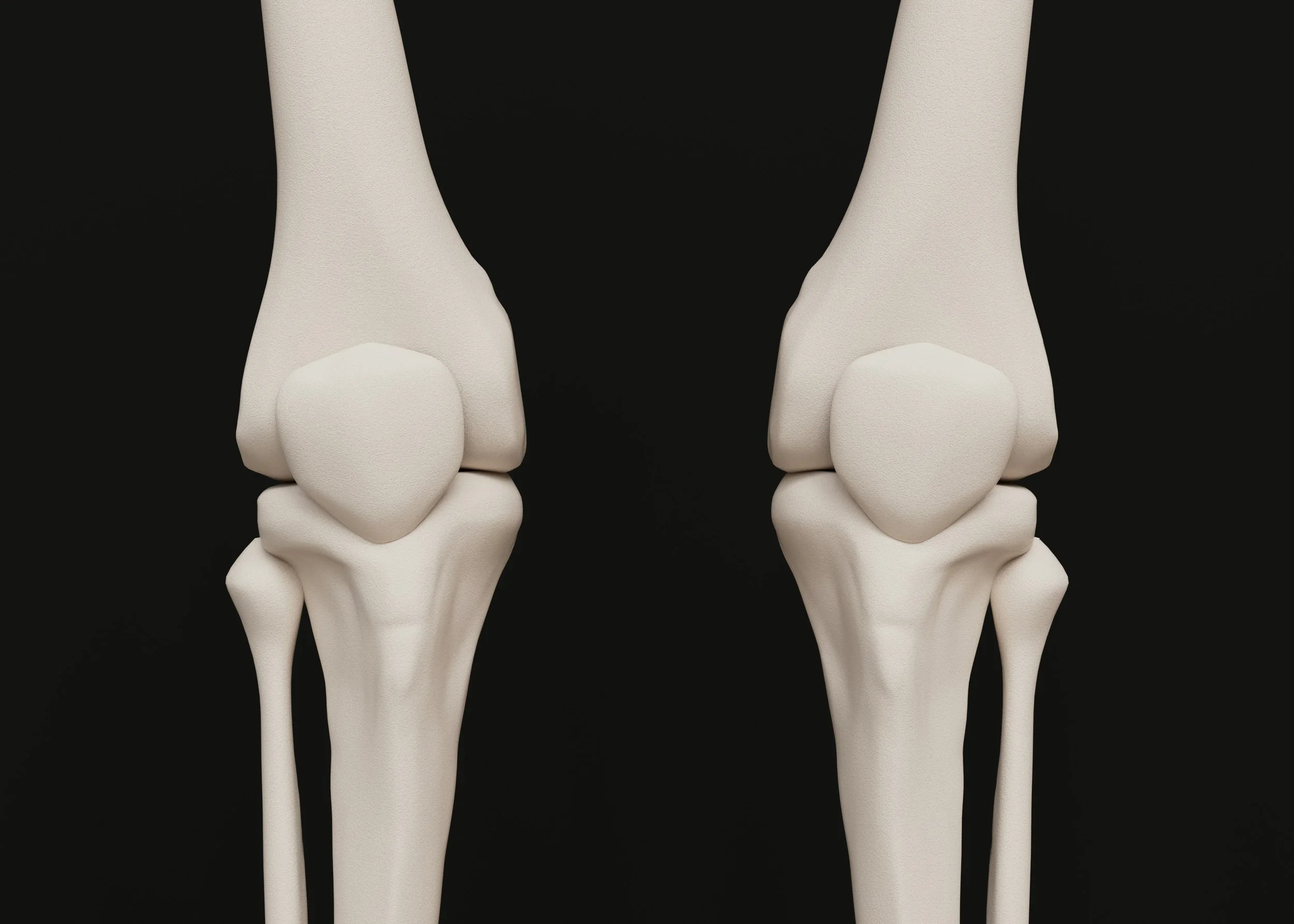 Bone Health For Runners
