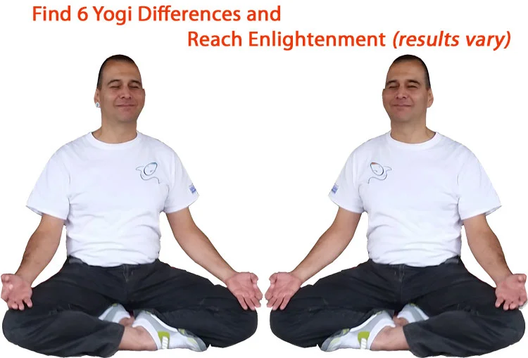 Yogi Differences