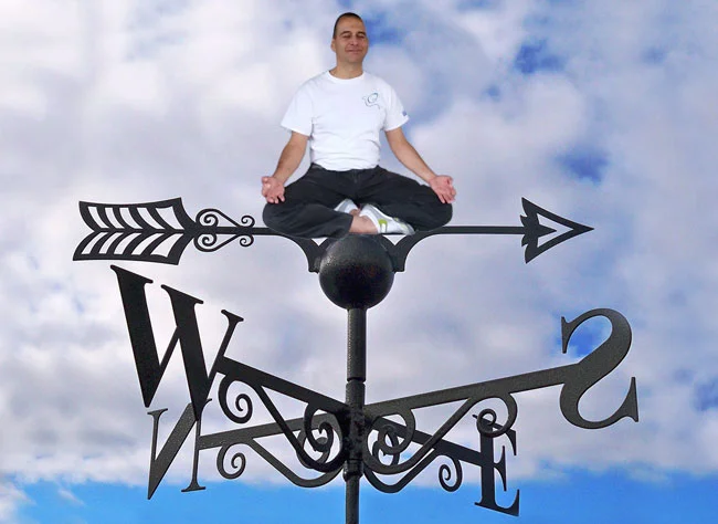 Yogi Weathervane