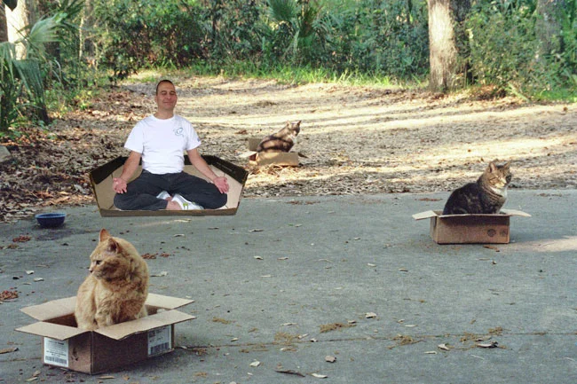 Yogi making like a cat