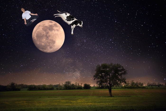 Yogi over the moon