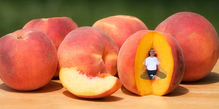 Yogi Fruit