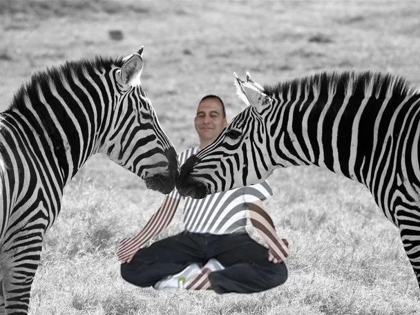 Yogi in Black and White