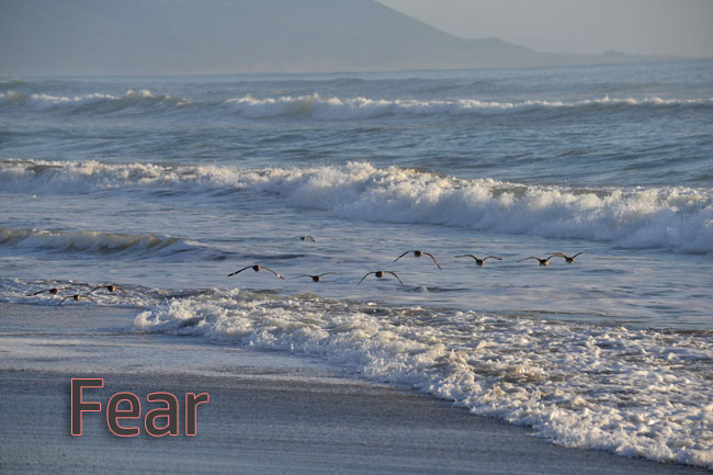 Fear