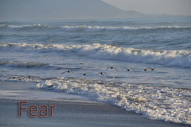 Fear