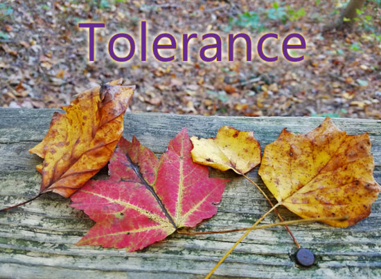 Tolerance