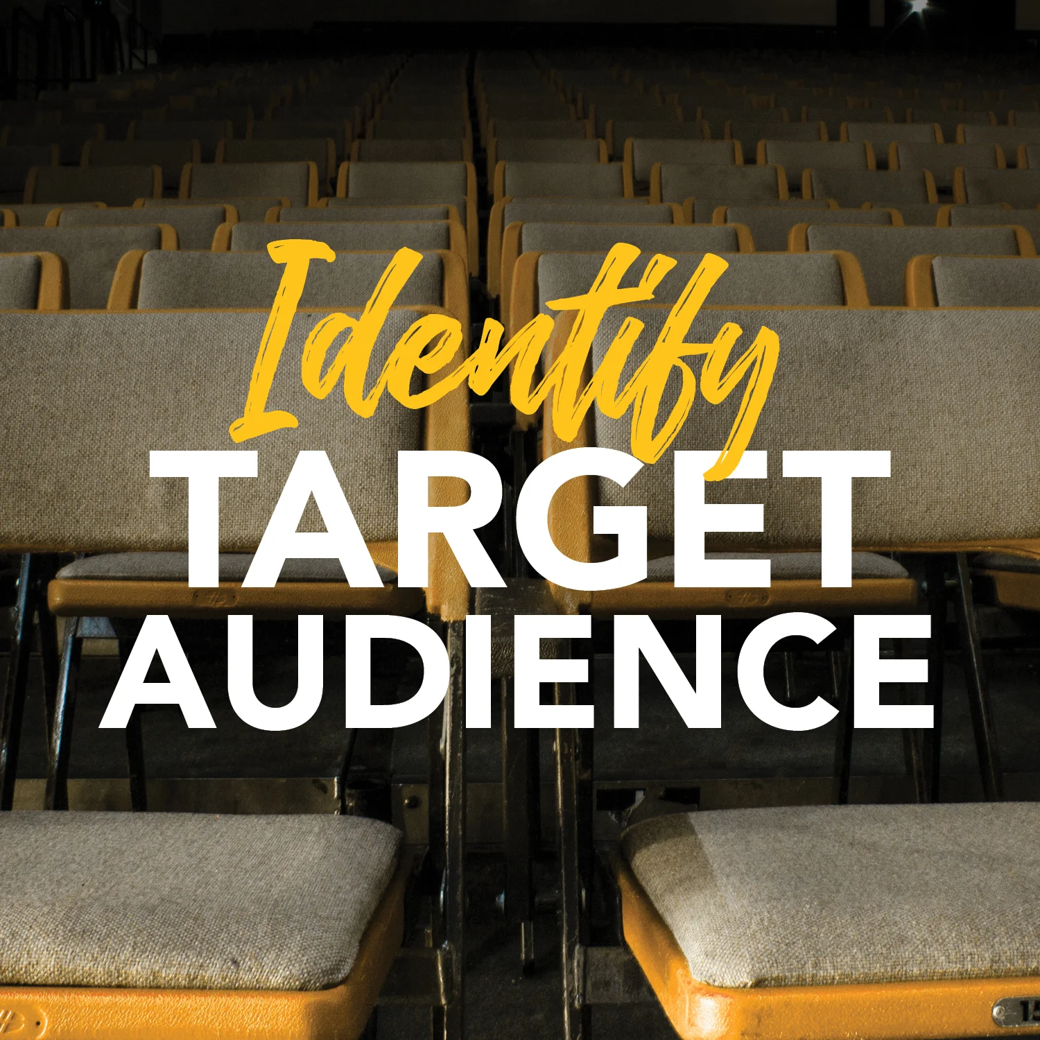 Viim_TargetAudience.jpg