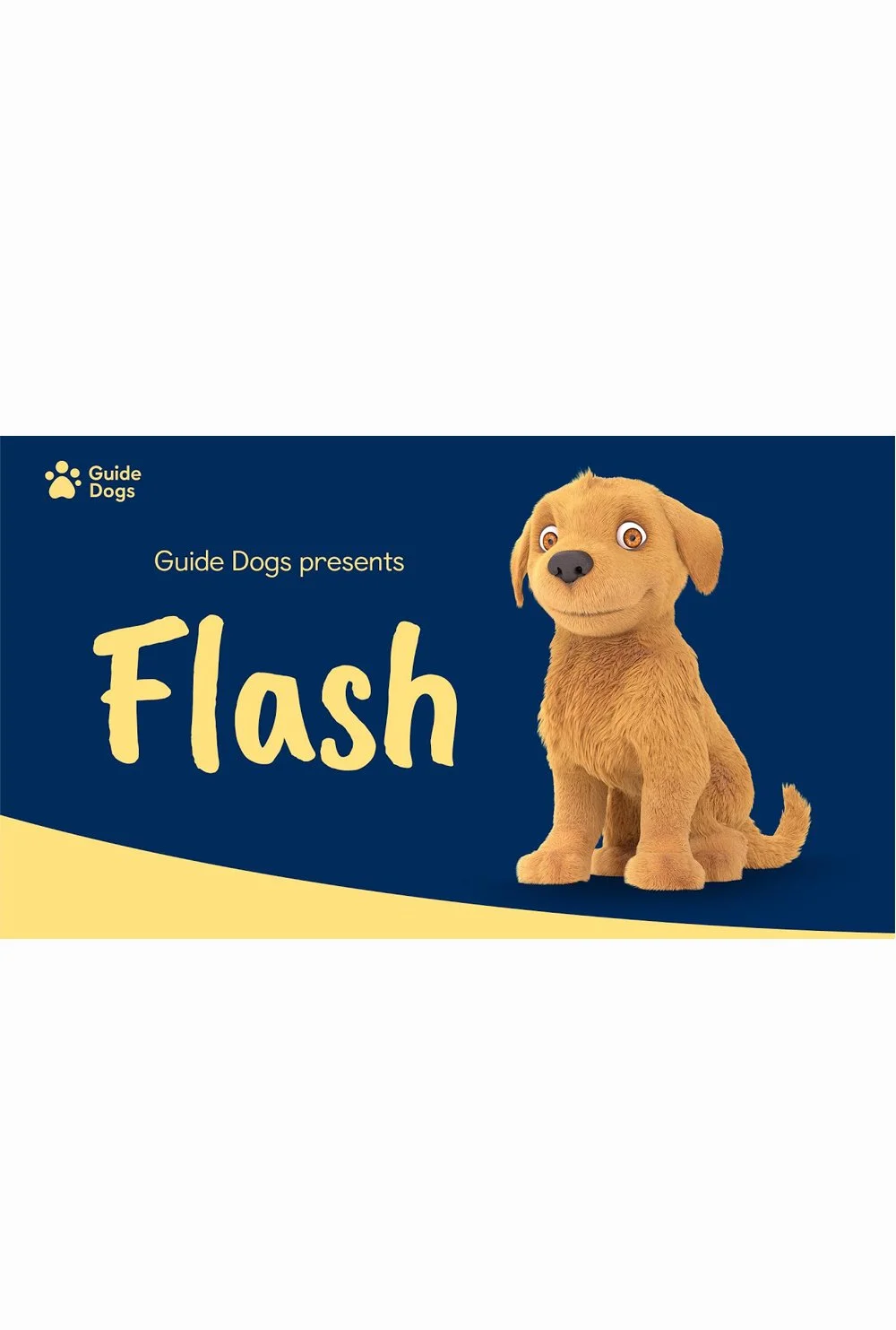flash.jpg