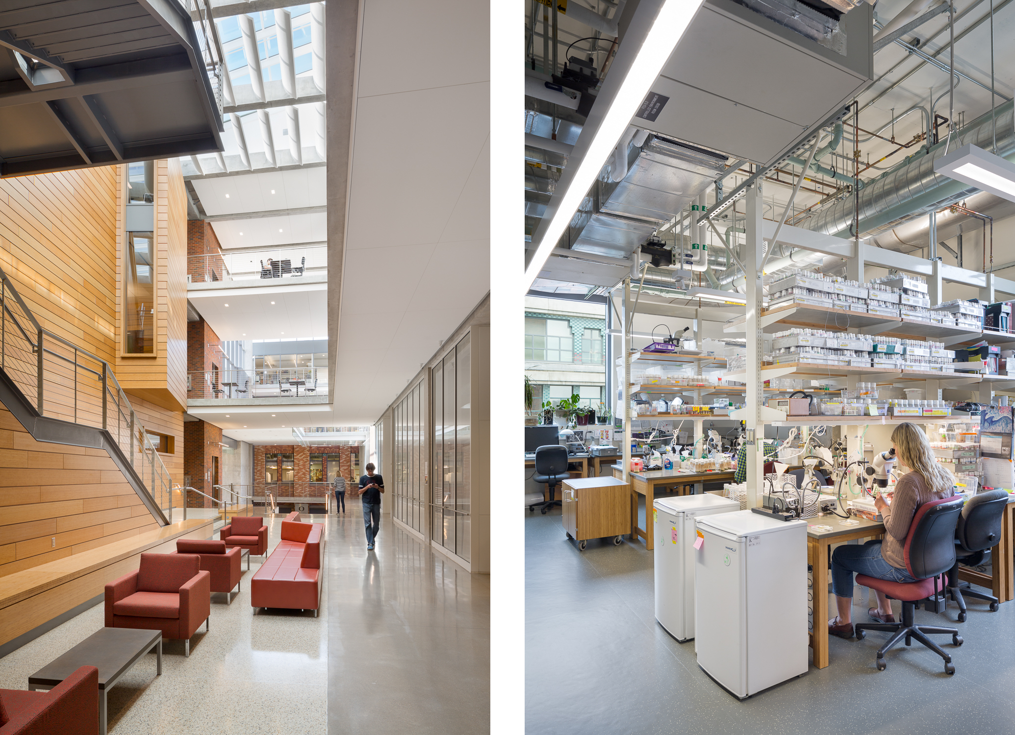  University of Oregon - Lewis Integrative Science Building / Lease Crutcher Lewis 