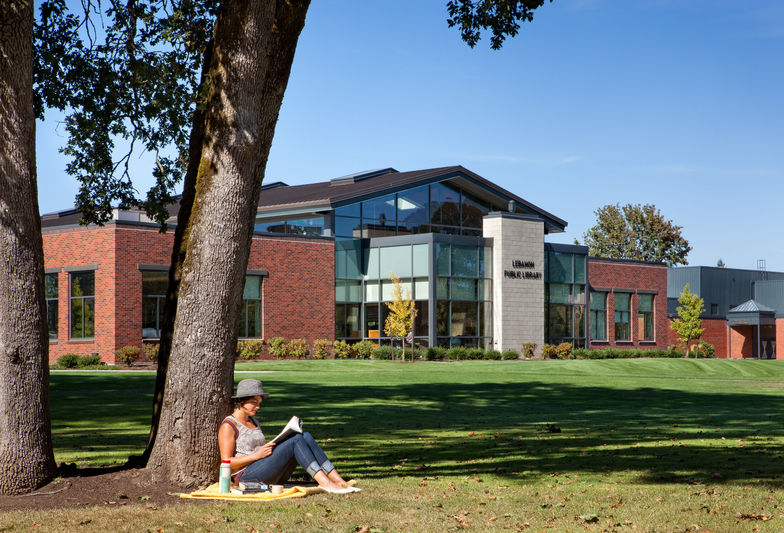 05-Lebanon-Library-JoshPartee-7987-tree-picnic.jpg