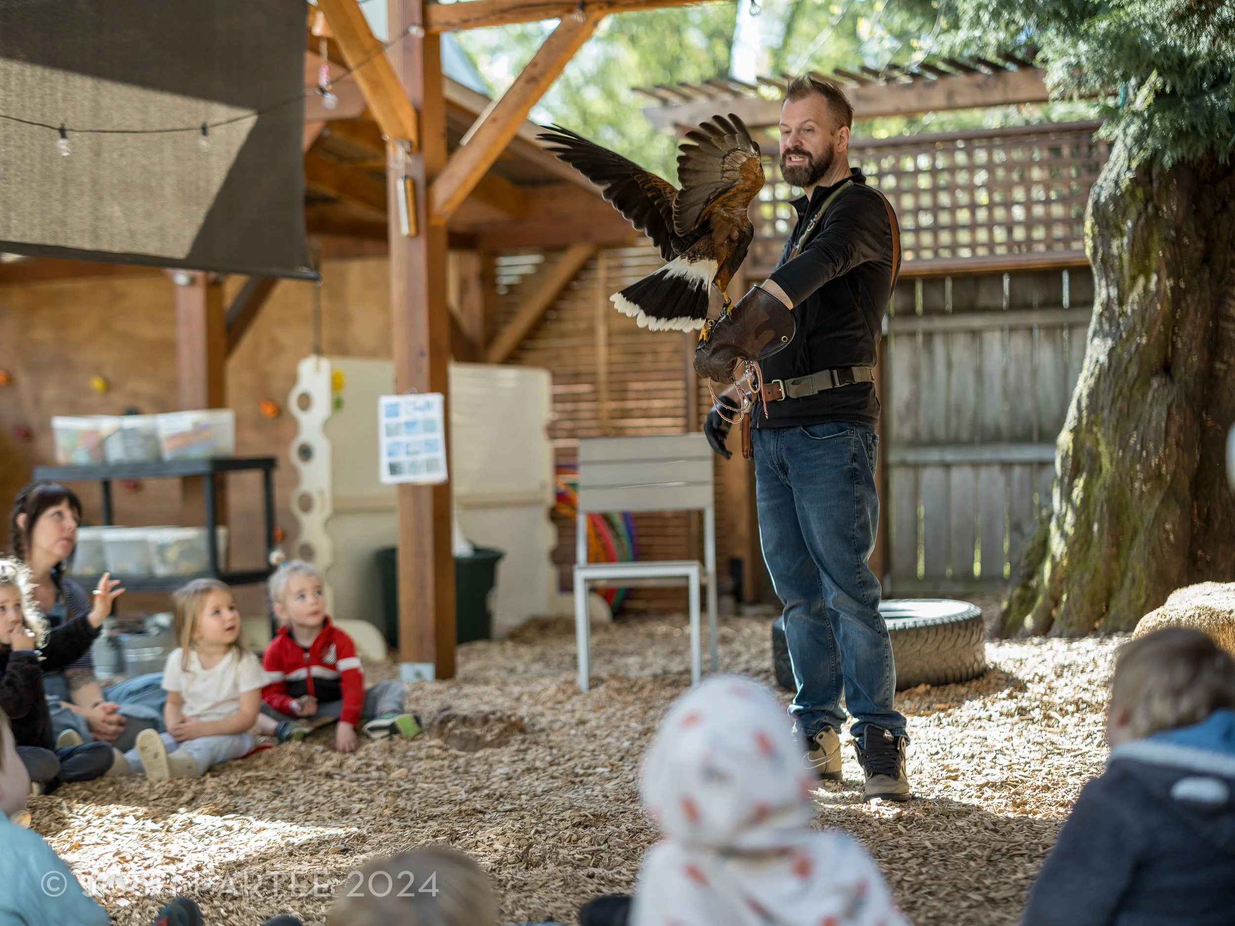 06-PV-HarrisHawk-9859.jpg