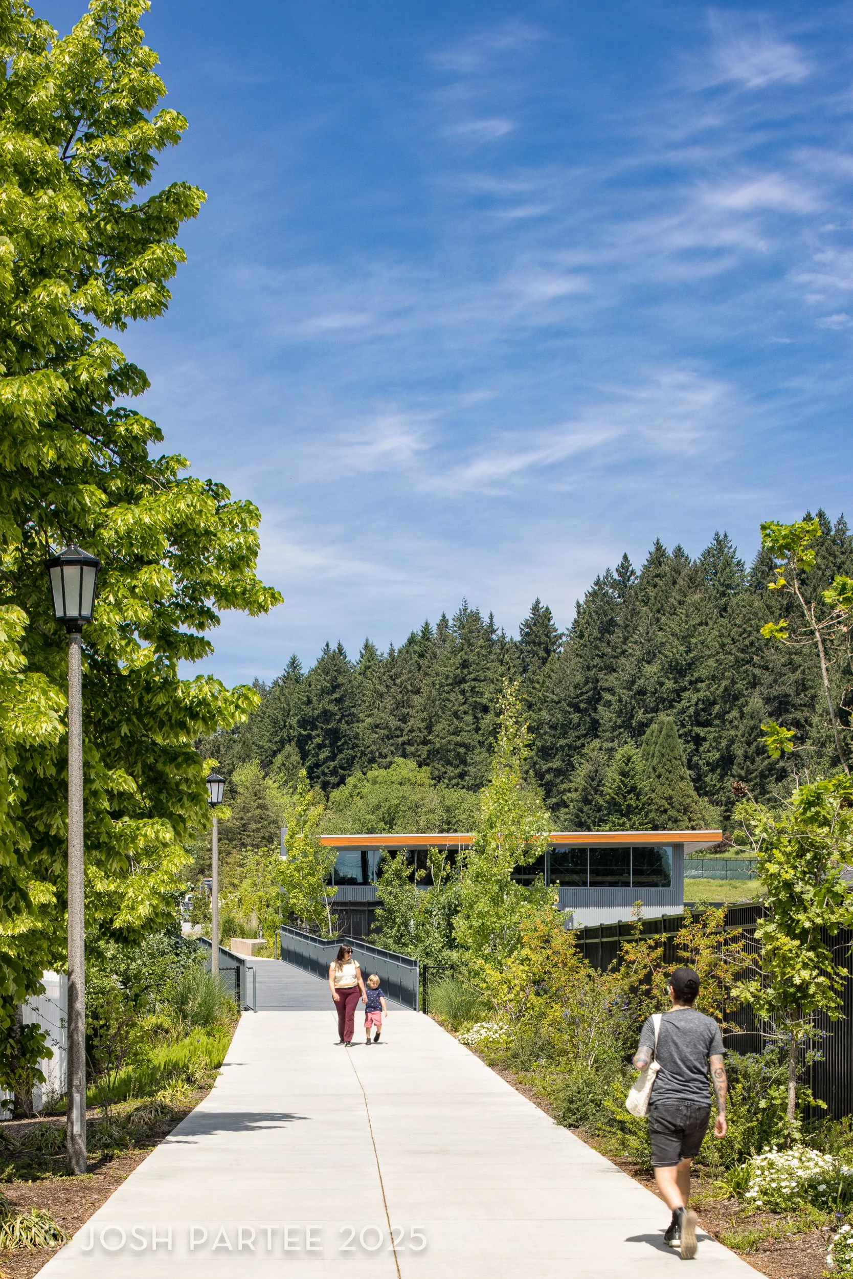  Mt Tabor, path / Opsis 