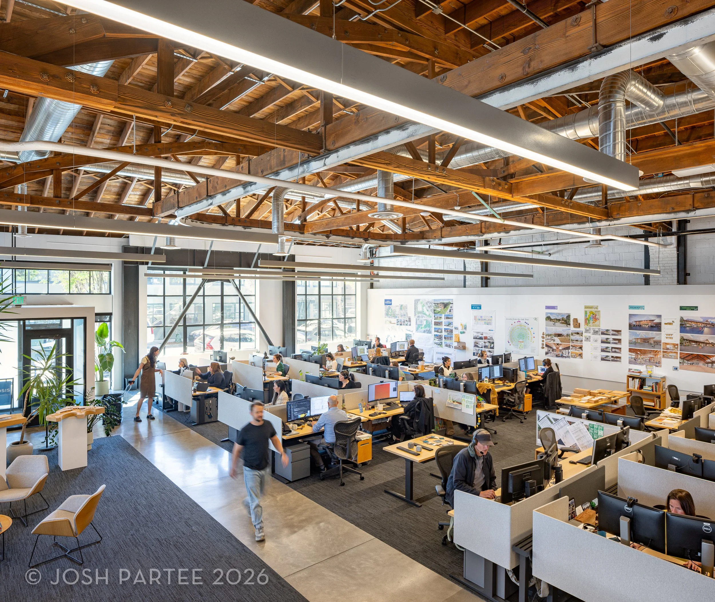  Opsis office 