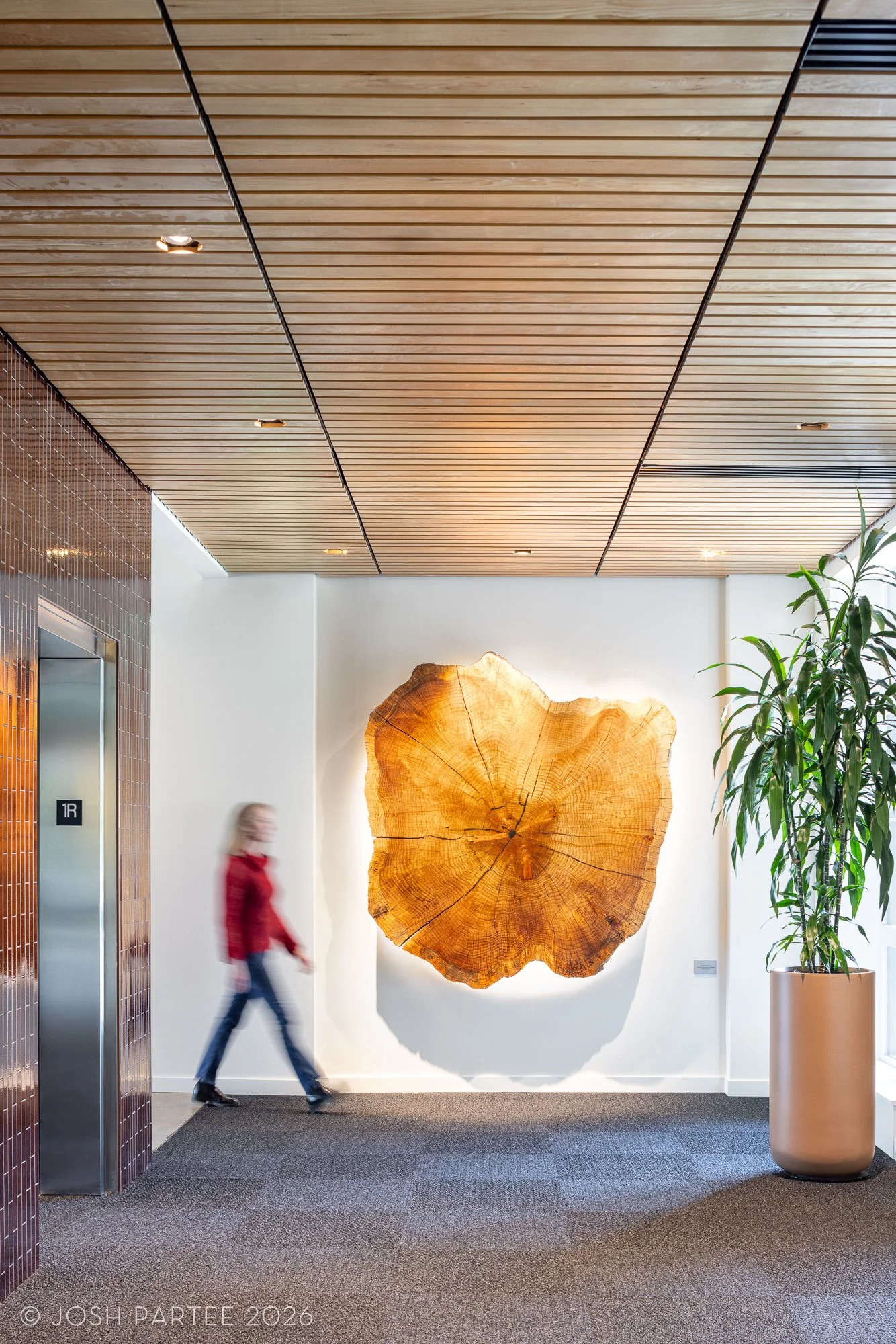 07-Heartwood-JoshPartee-6943.jpg