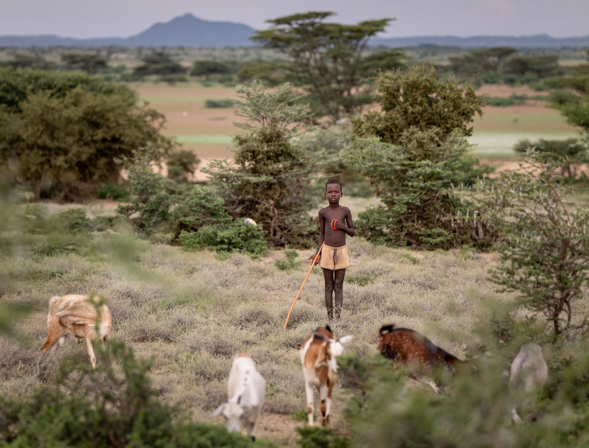 Ekidor Etir tends to his family’s goats on the shore of Lake Turkana in Kenya