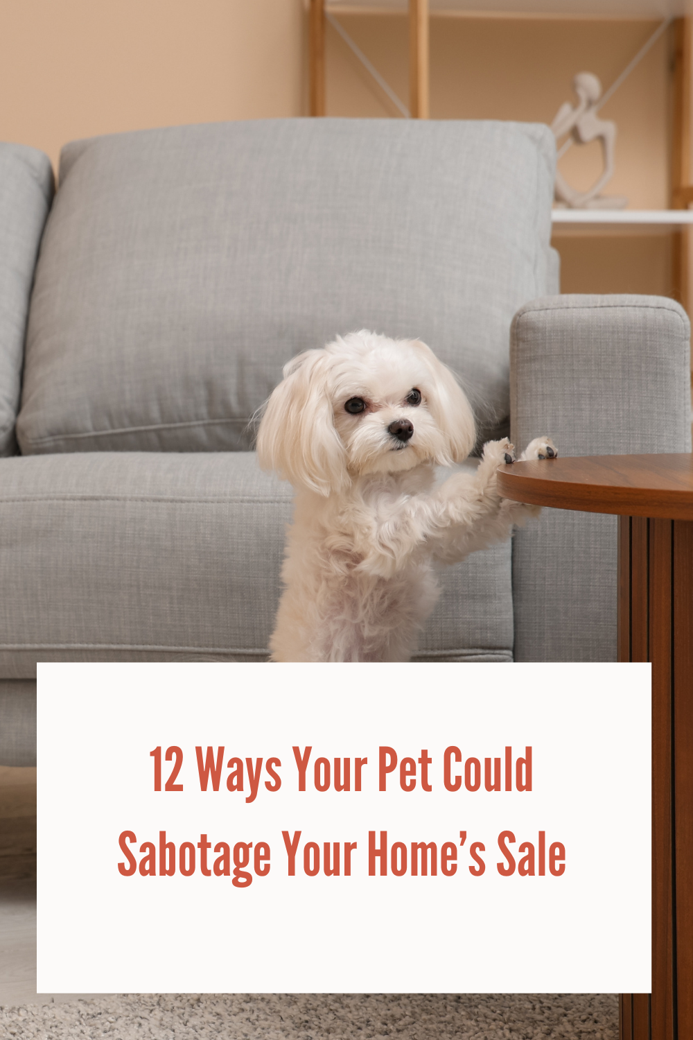 12 Ways Your Pet Could Sabotage Your Home's Sale  